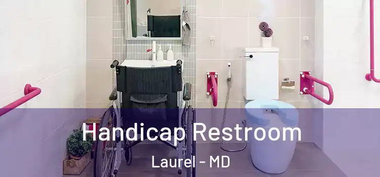  Handicap Restroom Laurel - MD